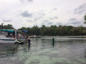 Day 6 - Silver Glen Springs