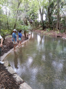 Day 7 - Satsuma Spring