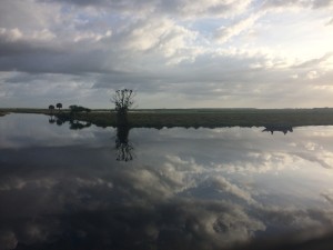 Tosahatchee