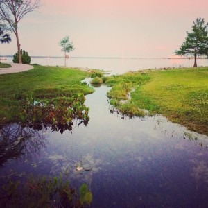 Day 10 - Green Cove Springs