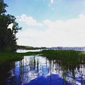 Day 10 - River in St. Johns County