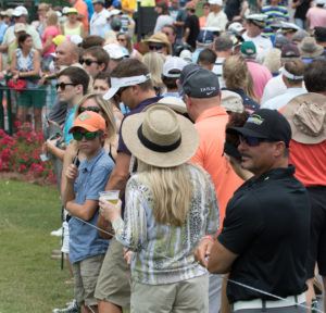 Autographs (8 of 1)