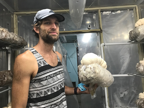 PVN Son _ Skye Mushrooms 2008A LO