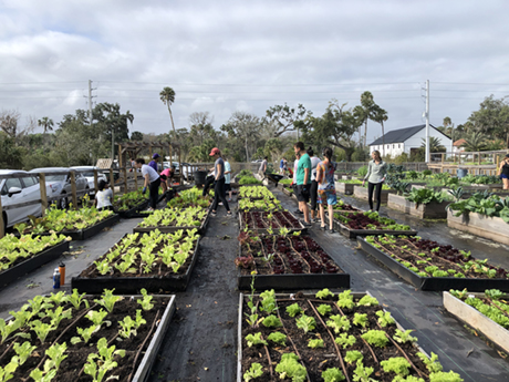 PVN Peace of Heart Community 2010A LO