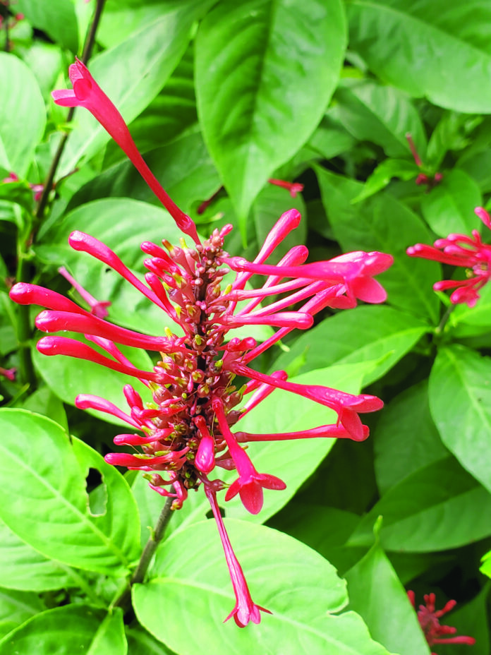 FNL Gardening welcome to fall 2210