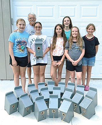 TCL Girl Scouts Silver Award 2403A