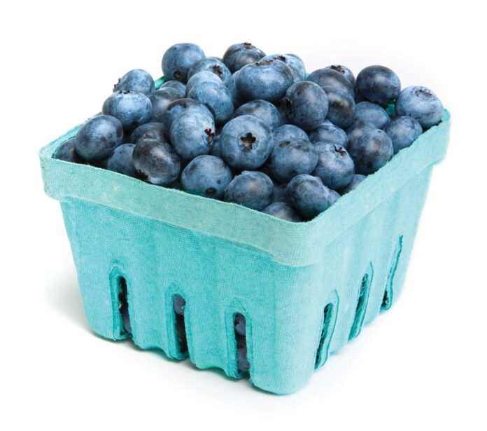 blueberries-carton-1