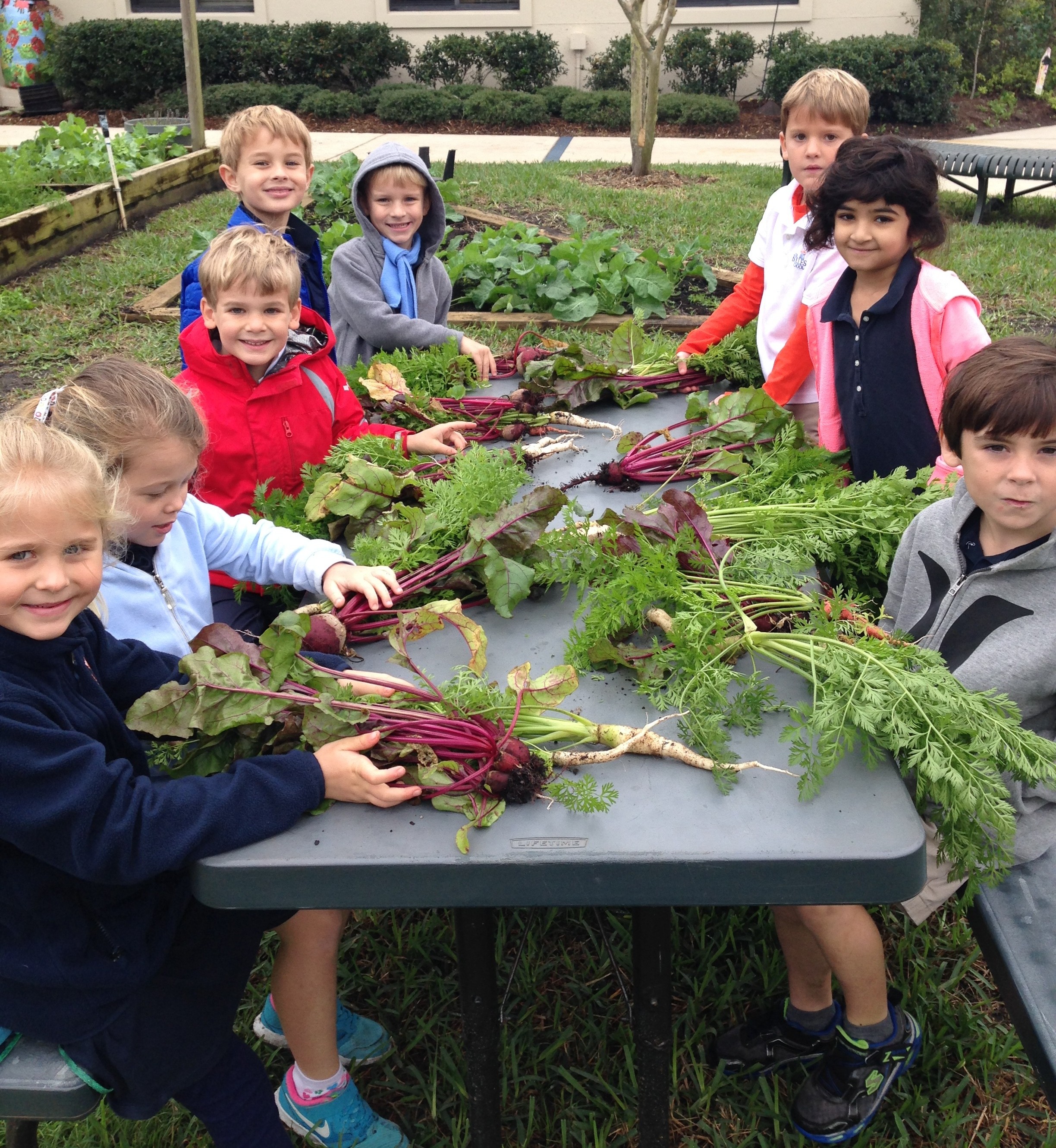 PVN Bolles January garden 1601F