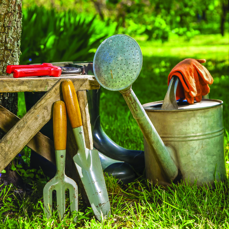 Gardening: Cool-season gardening