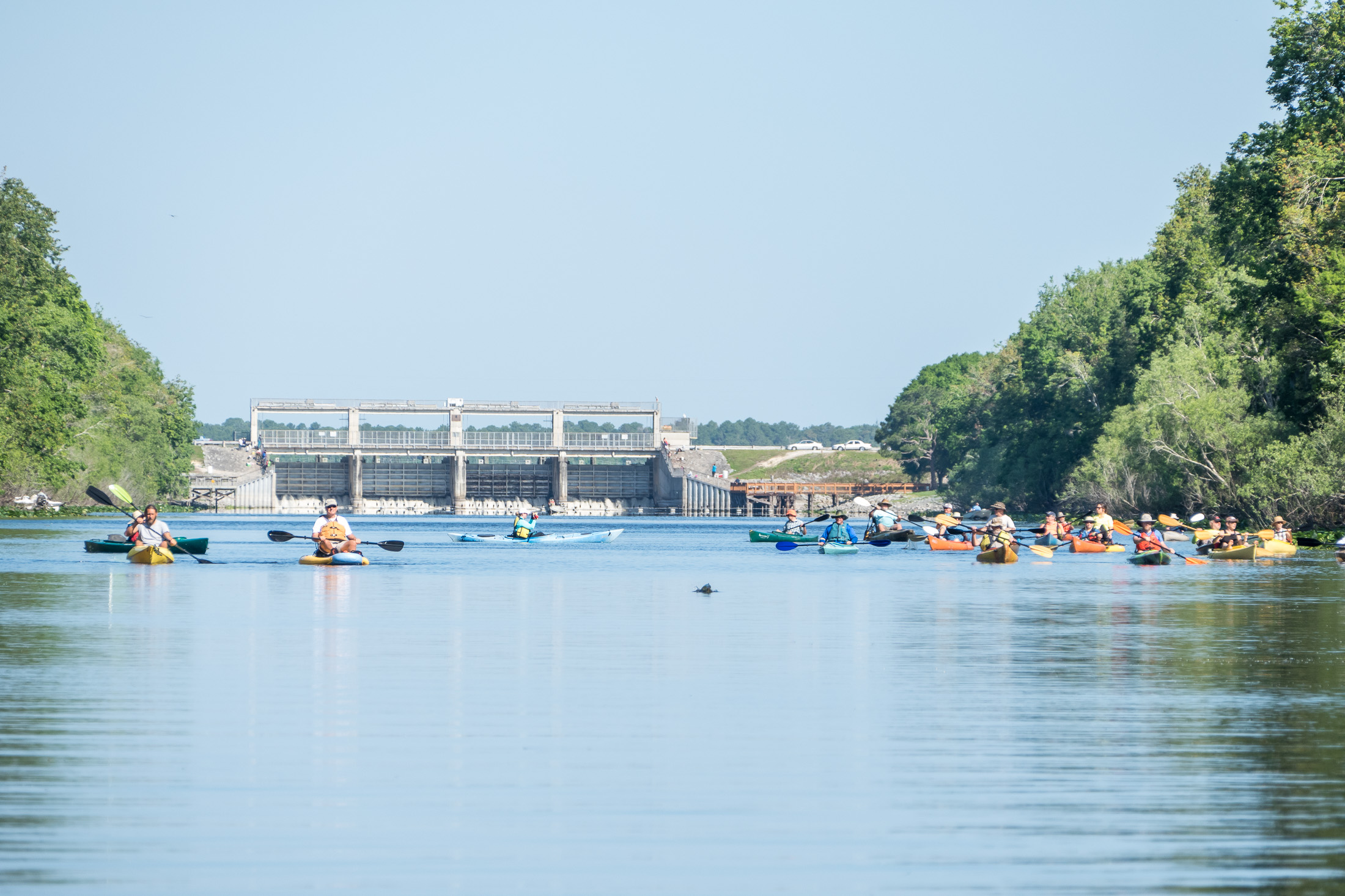Day 9 - Ocklawaha below the dam-15