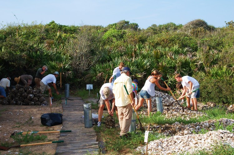 gtm-research-oyster-bagging