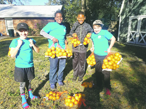 mnl-feeding-ne-fl-citrus-1703alores