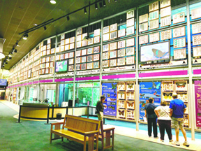 fnl-travel-gainesvilles-butterfly-rainforest-1804a-lores