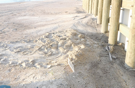 PVN Beach renourishment 1807A LORES