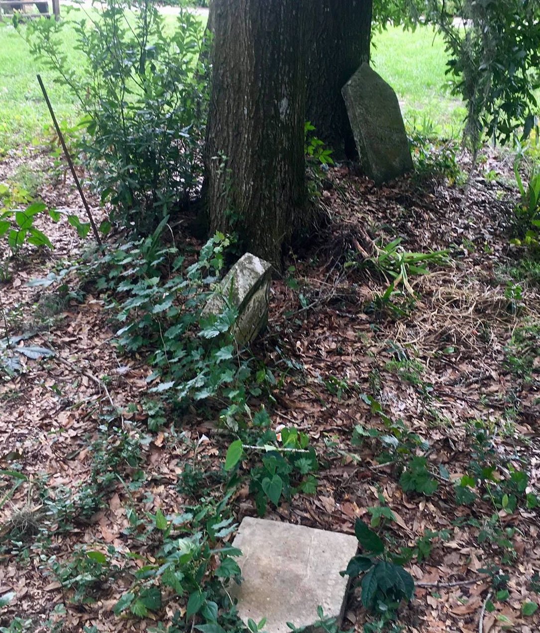 MNL Back in Time Brett Plummers Cove 1811A