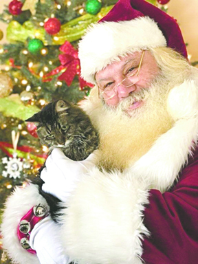 TCL Get to Know ... Kevin Mason 1812A LORES