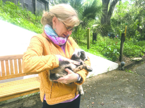 MNL Get to Know … Stacey Goldring 1904 LORES