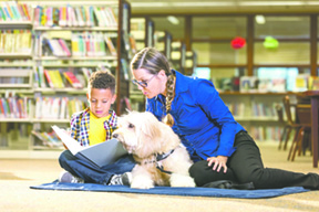 PVN Therapy Animal Coalition 1904A LORES