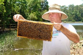 PVN Get to Know... Steve Sheffield 2007 LO