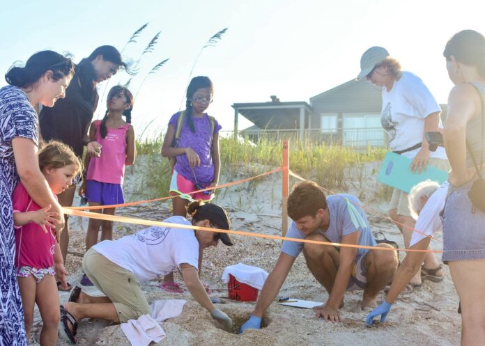 PVN Mickler's Landing Turtle Patrol 2106D