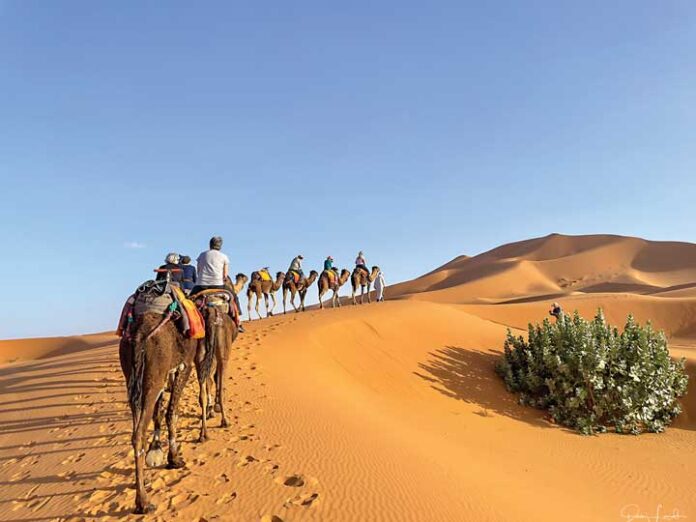 FNL-Travel-Majestic-Morocco-2205C