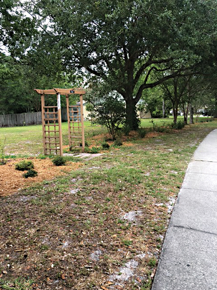 MNL Garden Homes of Lake Mandarin Native plants 2206B