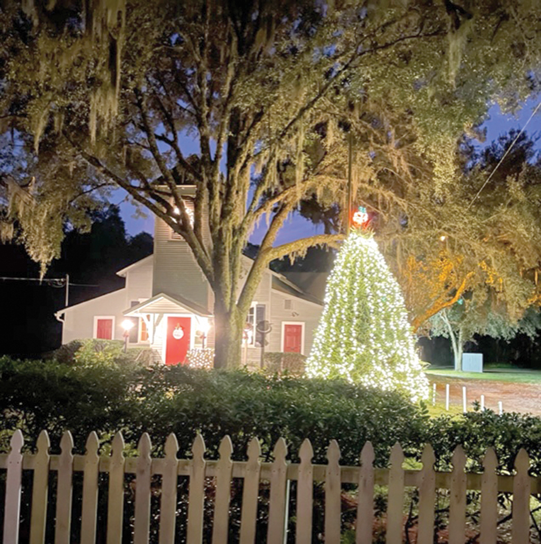 Christmas Tree Lighting in West Fenway – The Boston Sun