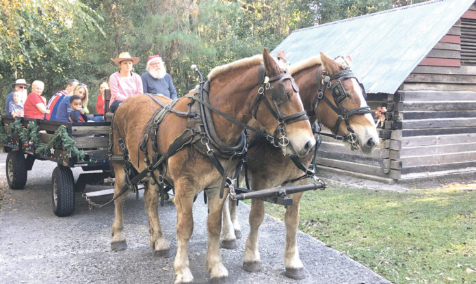 MNL Mand Museum Winter Celebration 2312 (1)