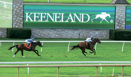 FNL Travel Galloping Through Kentucky 2501C