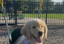 Meet Peaches: October BFF of the month, CreekLine