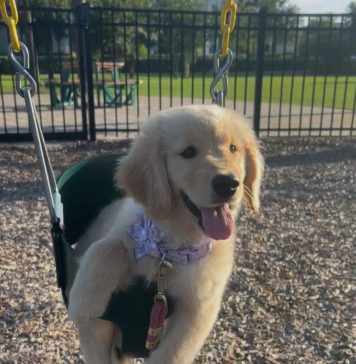 Meet Peaches: October BFF of the month, CreekLine