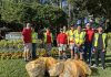 Rotary and Interact clean up local roadways