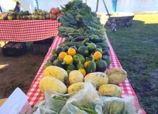 Fresh Fridays: New market makes fresh, local food a Friday tradition