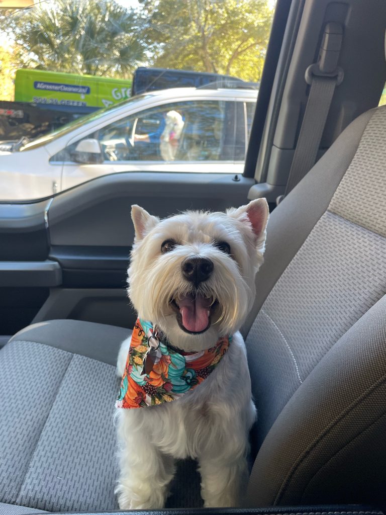 Meet Lucy: January BFF of the month, Mandarin