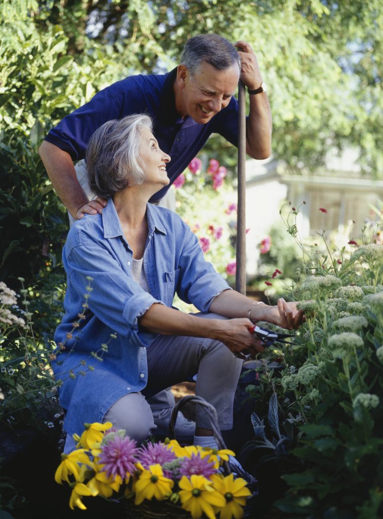 For many homeowners, pruning can feel intimidating, but February is actually one of the best months to prune in Northeast Florida. Submitted