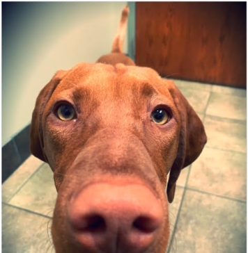 Meet Blue: April BFF of the Month, CreekLine
