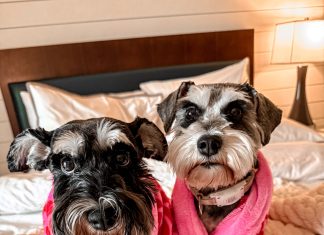 Meet Charlotte and Bailey: February BFFs of the Month, Ponte Vedra Charlotte and Bailey Gainor