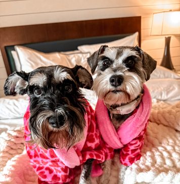 Meet Charlotte and Bailey: February BFFs of the Month, Ponte Vedra Charlotte and Bailey Gainor