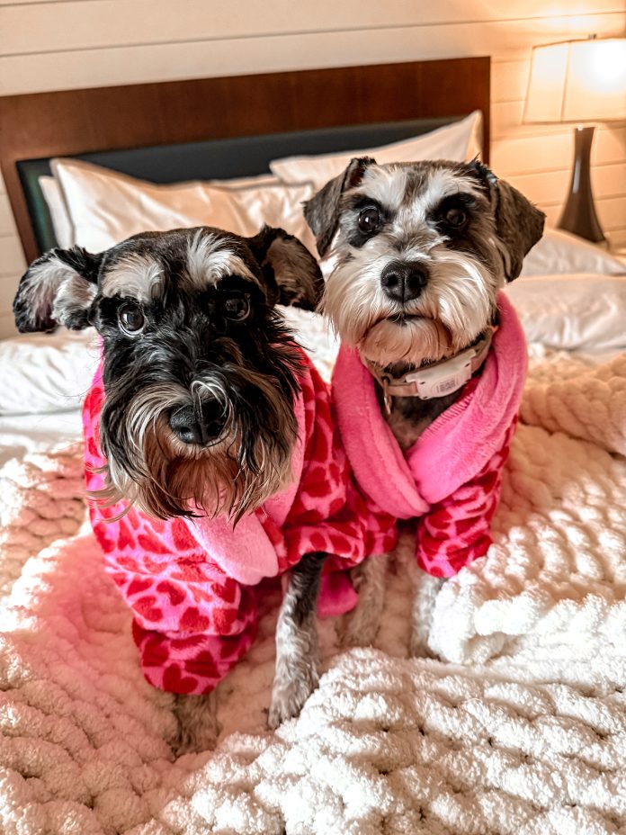 Charlotte and Bailey Gainor