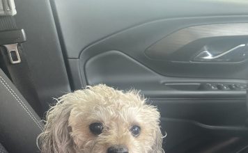 Meet Molly Claire: May BFF of the Month, CreekLine