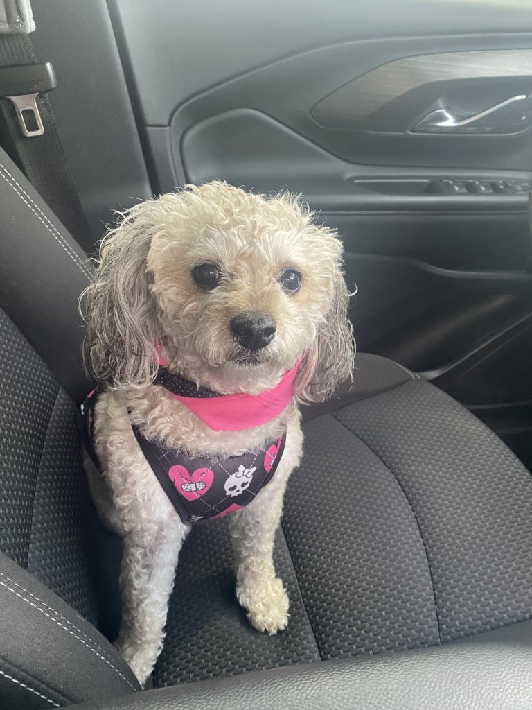 Meet Molly Claire: May BFF of the Month, CreekLine