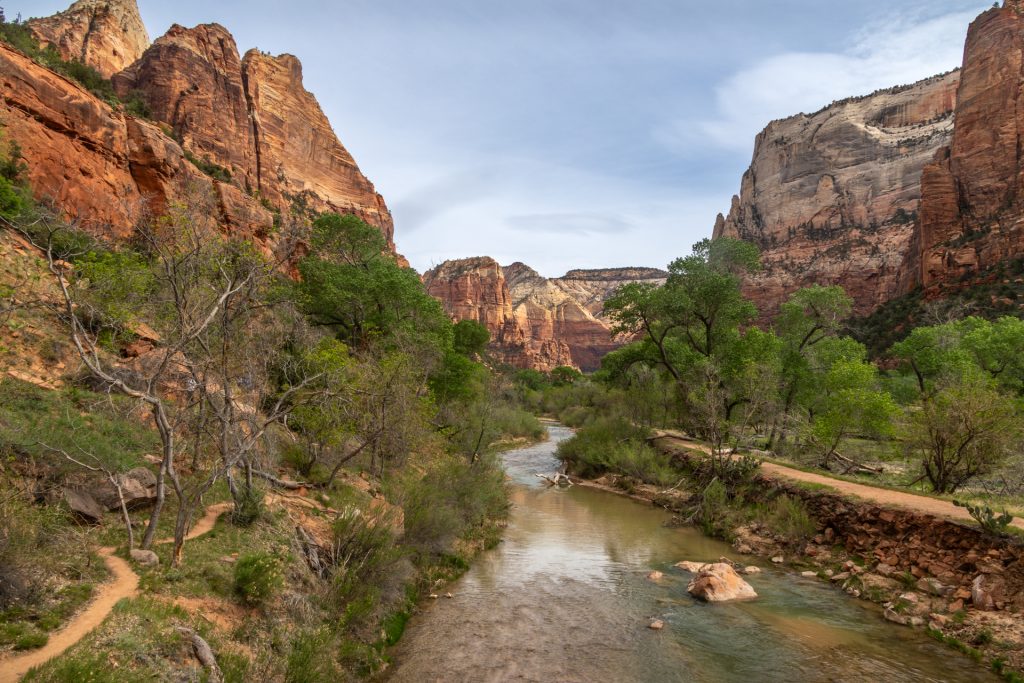 The Virgin River winds through the canyon floor, offering cool shade and beautiful reflections for hikers. Photo by Debi Lander
