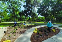 Homegrown Highway: William Bartram Scenic and Historic Highway sparks native plant initiative