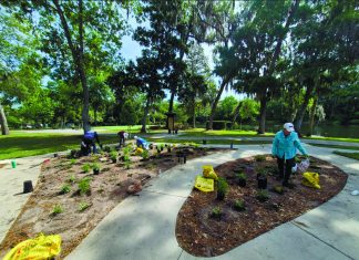 Homegrown Highway: William Bartram Scenic and Historic Highway sparks native plant initiative
