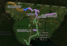 Regional trail plan could link into Leon County system A regional trail network map highlighting trail development phases across Gadsden, Leon, Wakulla, and Jefferson counties surrounding Tallahassee. A color-coded legend at the bottom categorizes the routes into Feasibility Phase shown in yellow, Existing Trails shown in green, PD&E / Design Phase shown in purple, and Other Existing Facilities shown in blue.