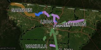 A regional trail network map highlighting trail development phases across Gadsden, Leon, Wakulla, and Jefferson counties surrounding Tallahassee. A color-coded legend at the bottom categorizes the routes into Feasibility Phase shown in yellow, Existing Trails shown in green, PD&E / Design Phase shown in purple, and Other Existing Facilities shown in blue.