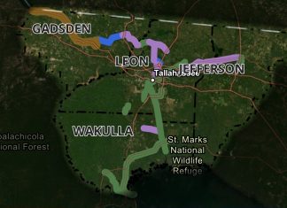 A regional trail network map highlighting trail development phases across Gadsden, Leon, Wakulla, and Jefferson counties surrounding Tallahassee. A color-coded legend at the bottom categorizes the routes into Feasibility Phase shown in yellow, Existing Trails shown in green, PD&E / Design Phase shown in purple, and Other Existing Facilities shown in blue.