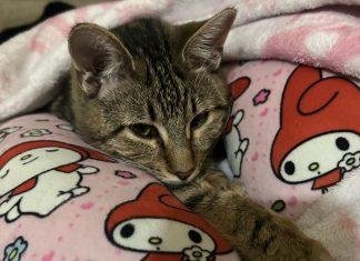 Meet Ziggy: March BBF of the Month, CreekLine