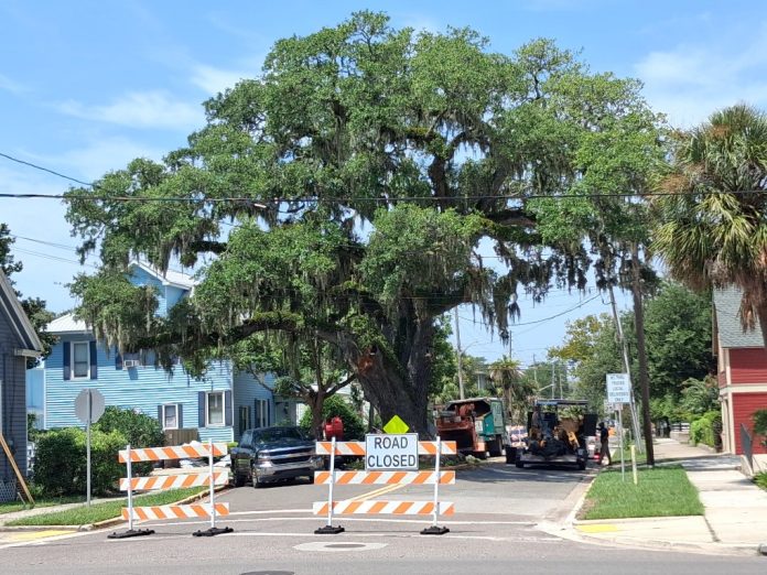 Crews close the road around Kate's Tree to carry out repair work on the historic live oak. Photo courtesy of the Amelia Tree Conservancy.
