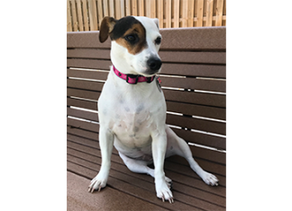 Meet Luna: September BFF of the Month, Mandarin NewsLine Luna